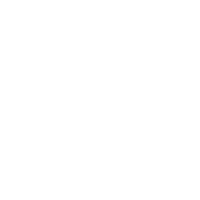 HTML 5