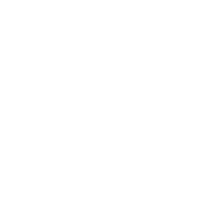 Полная поддержка и развитие